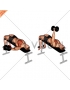 Dumbbell Decline One Arm Fly