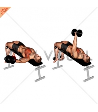 Dumbbell Decline One Arm Fly