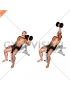 Dumbbell Incline One Arm Press