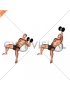 Dumbbell Incline One Arm Press on Exercise Ball