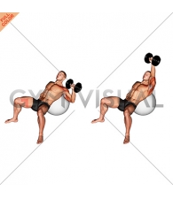 Dumbbell Incline One Arm Press on Exercise Ball