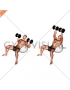 Dumbbell Incline Press on Exercise Ball