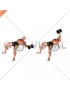 Dumbbell One Arm Chest Fly on Exercise Ball