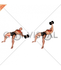Dumbbell One Arm Chest Fly on Exercise Ball