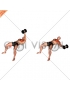 Dumbbell One Arm Fly on Exercise Ball