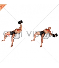 Dumbbell One Arm Fly on Exercise Ball