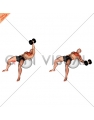 Dumbbell One Arm Fly on Exercise Ball