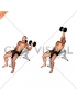 Dumbbell One Arm Incline Chest Press