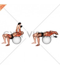 Dumbbell Pullover Hip Extension on Exercise Ball