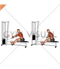 Cable Rope Elevated Seated Row
