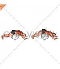 Exercise Ball Lower Back Stretch (Pyramid)