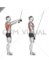 Cable Pushdown (straight arm) (version 2)