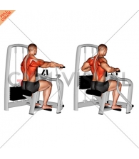 Lever Seated Row