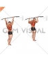 Wide Grip Rear Pull-Up