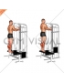 Cable Standing Calf Raise