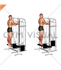 Cable Standing Calf Raise