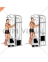 Cable Standing One Leg Calf Raise