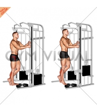 Cable Standing One Leg Calf Raise