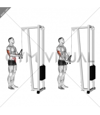 Cable Pushdown (with rope attachment)