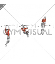 Muscle-up (on vertical bar)