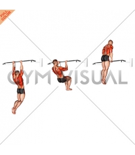 Muscle-up (on vertical bar)