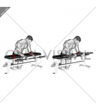 Barbell Palms Up Wrist Curl Over A Bench