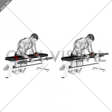 Barbell Palms Up Wrist Curl Over A Bench