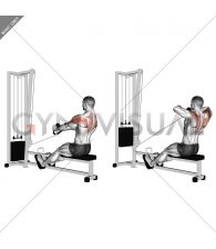 Cable Rear Delt Row (stirrups)