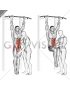 Assisted Hanging Knee Raise