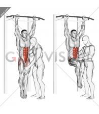 Assisted Hanging Knee Raise