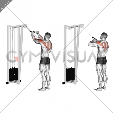 Cable Rear Delt Row (with rope)