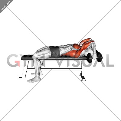 Bent-Arm Dumbbell Pullover