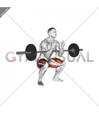 Barbell Zercher Squat Hold Isometric