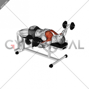 Dumbbell Flat Flye Hold Isometric