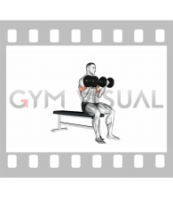 Dumbbell Seated Curl