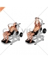 Lever Incline Chest Press (versions 2)