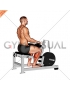 Lever Calf Stretch (plate loaded) Isometric