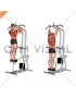 Assisted Standing Pull-up