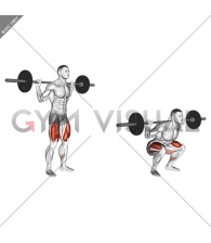 Barbell Low Bar Squat