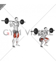 Barbell High Bar Squat