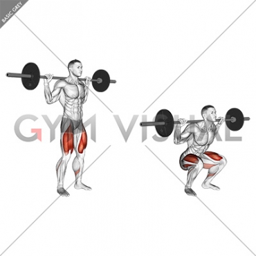 Barbell High Bar Squat