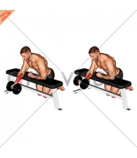 Dumbbell Over Bench One Arm Reverse Wrist Curl