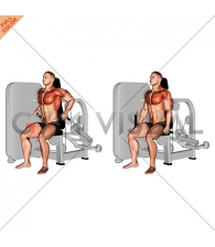 Lever Seated Dip