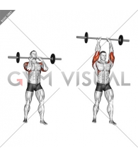 Barbell Standing Close Grip Military Press