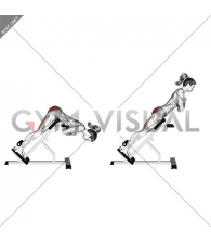 45 degree hyperextension (arms in front of chest) (Side-POV)