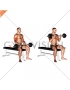 EZ Barbell Seated Curls