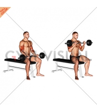 EZ Barbell Seated Curls