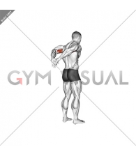 Biceps Stretch Behind The Back