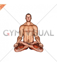 Full Lotus Yoga Pose