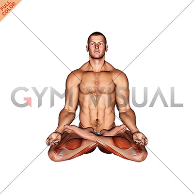Full body portrait of a zen fit woman relaxing while exercising the yoga lotus  position against gray background for copy space Stock Photo - Alamy